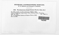 Calyptospora columnaris image